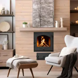 Комплект чавунних дверцят Iron Fire Style 50 485x485 мм + поддувальные 315х165 мм IF STYLE 50 P фото