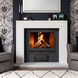 Комплект чугунные дверцы Iron FireNeil 575х495 мм + поддувальные Style 50 315х165 мм IF NEIL P фото 10