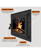 Дверцята для печі Iron Fire Versace  Bastion S 370x400 мм IF Bastion S фото 3