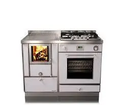 Отопительно варочная печь на дровах Rizzoli RVE 110 combi (плюс газ и электричество)  RVE 110 combi фото