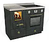 Отопительно варочная печь с духовкой на дровах Rizzoli RVE 105 combi (плюс газ и электричество)  RVE 105 combi фото